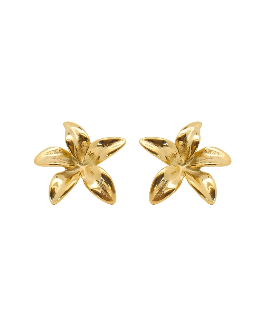 Boucles Joyce en acier