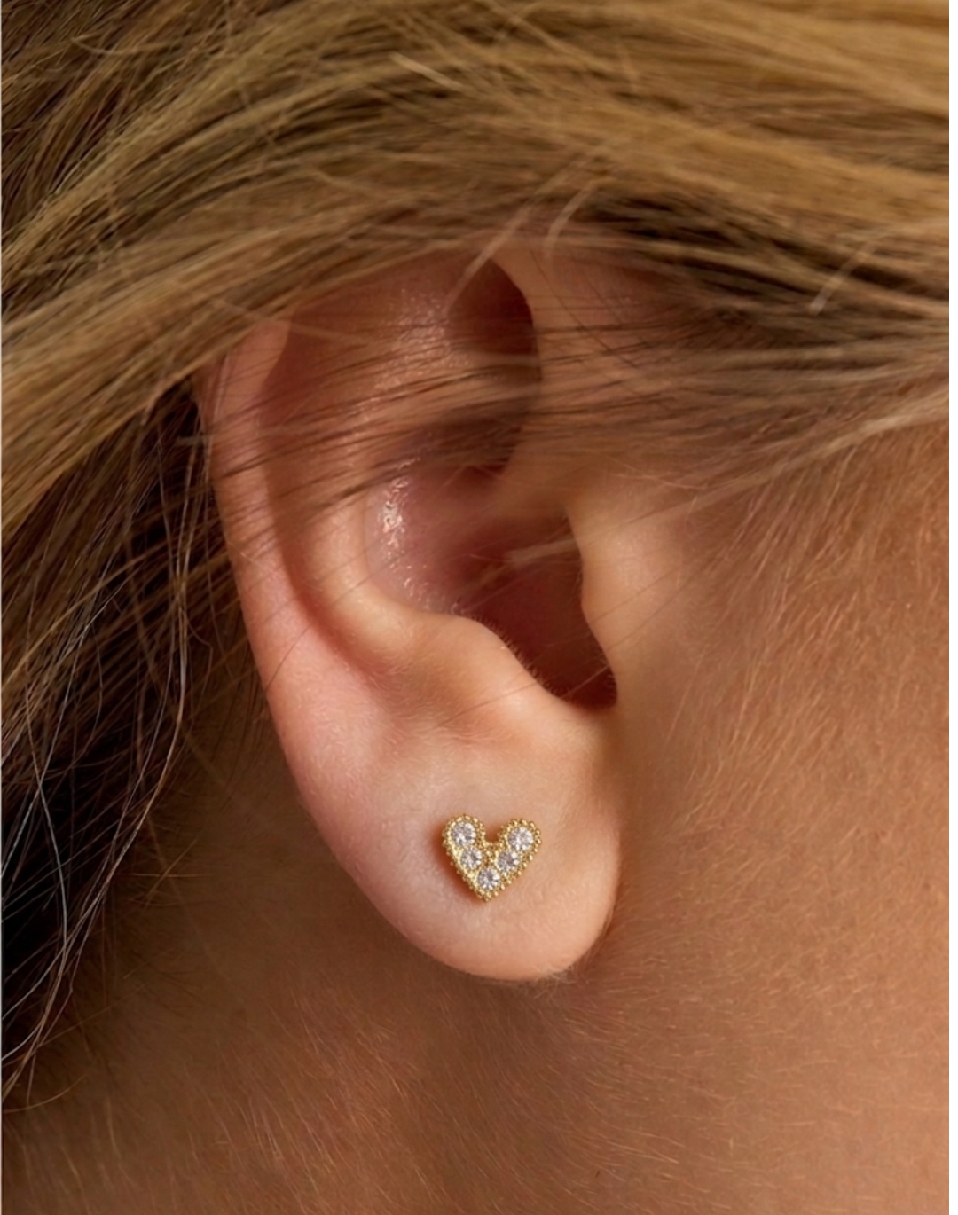 Asma steel earrings