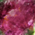 Tourmaline
