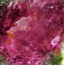 Flora steel buckles - Tourmaline